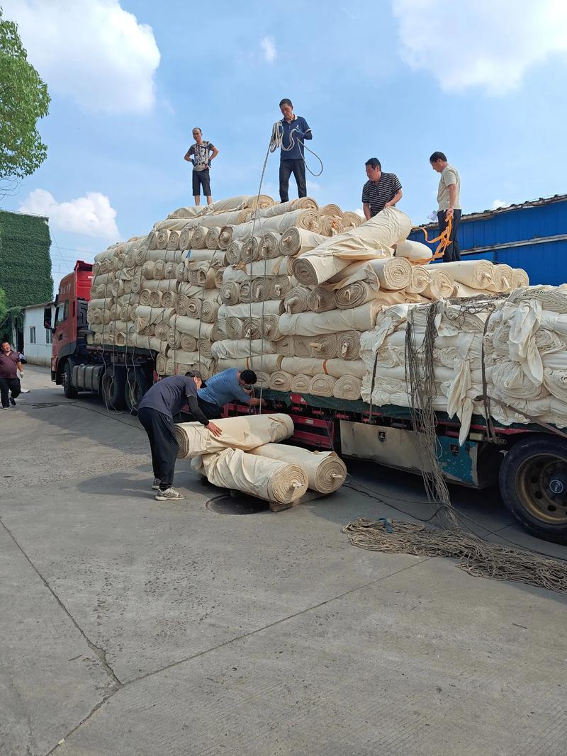 全棉坯布：纺织行业的绿色变革者